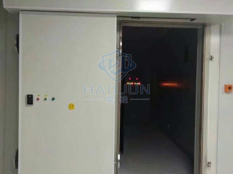 电磁平移屏蔽门