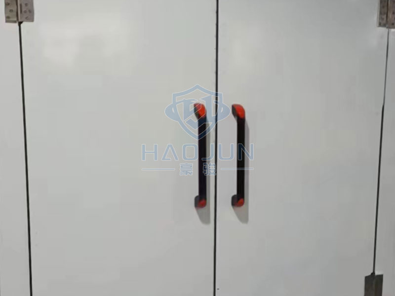 电磁双开屏蔽门